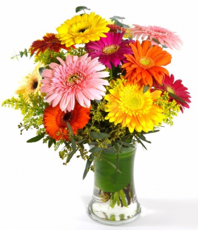 Cheery Beautiful assortment of gerbera daisies.