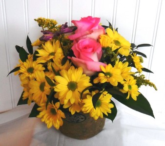 Cheery Daisy Fresh Flower Arrangment