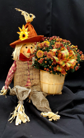 Cheery Scarecrow Mum Basket Plants