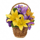 Cheery Spring Basket Arrangement