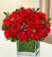Cherished Memories - All Red Funeral - Sympathy