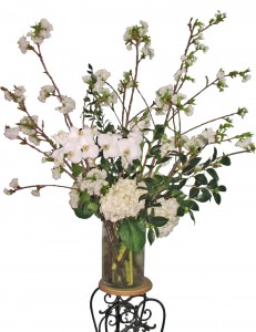 Category Image