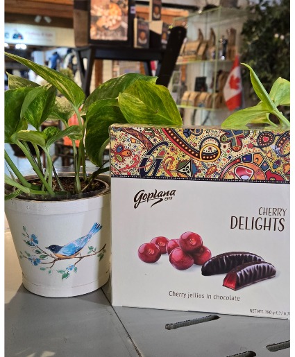 CHERRY DELIGHT & PLANT