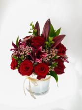 Cherry Frost Winter Collection