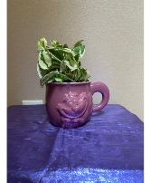 chesire cat planter 1 in stock  #2 chesire cat mug with verigated pothos