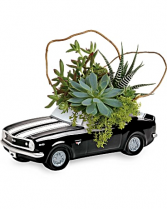 Chevy Camaro Plant Garden succulent garden