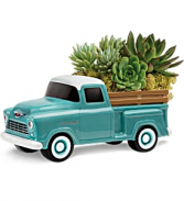 Chevy Pick up