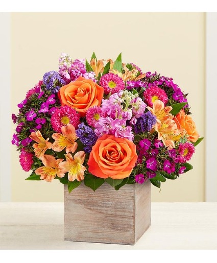 Orange Alstroemeria in a box 