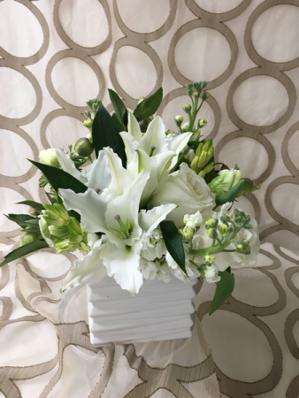 Chic White