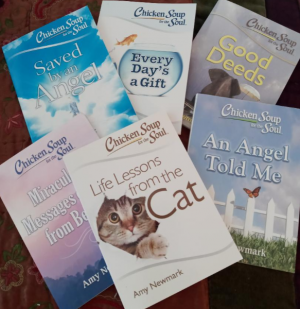 Chicken Soup For The Soul - BOOK LOT 