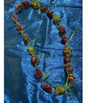 Chiles Pequenos  perfect for your spicy graduate