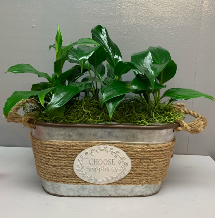 Choose Happiness planter