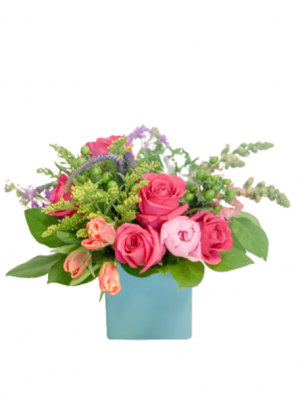 Choose Joy Designer’s Choice in Bay Saint Louis, MS | The French Potager Choose Joy Designer’s Choice in Bay Saint Louis, MS | The French Potager