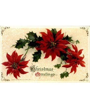 Christmas 9