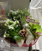 Christmas Garden Basket Plants