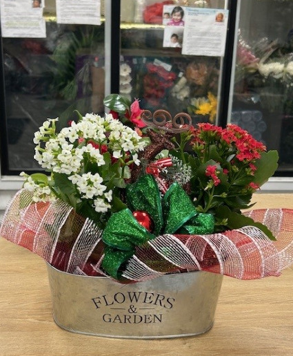 Christmas Garden Tin Basket  Arrangement