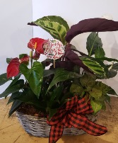 Christmas Basket Planter
