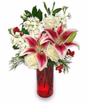 Christmas Beauty  in Janesville, WI | BARB'S ALL SEASONS FLOWERS