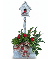 Christmas Birdhouse Fresh Christmas 