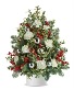 Christmas Boxwood Tree Fresh cut flowers 