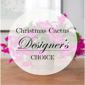 Christmas Cactus - Designer's Choice 