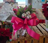 6in Christmas Cactus - Pink Plant