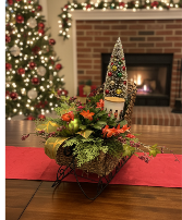 christmas cactus plant in Sleigh Premium Plant
