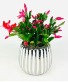 Purchase this funeral home arrangement