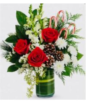 Christmas Candy Cane Arrangement  