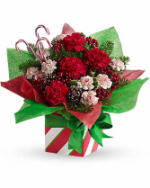 Christmas candy cane present Assorted Christmas carnations/gift boxes