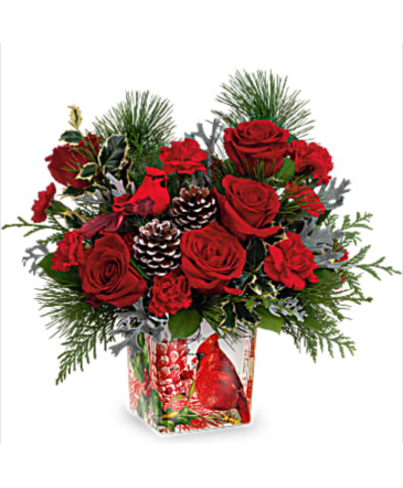 Christmas Cardinal Cheer Bouquet Cardinal Cube Vase Bouquet in Pensacola, FL | Cordova Flowers and Gifts