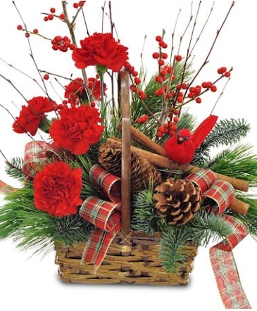 Christmas Cardinal Holiday Arrangement in Ocala, FL | Blue Creek Florist