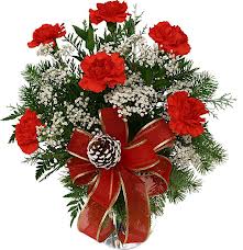 Christmas Carnations  