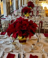 Christmas  Centerpieces 