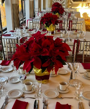 Christmas  Centerpieces 