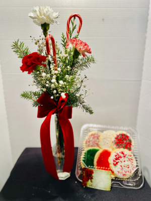 Christmas Delight Carnations & Cookies Christmas in Osage, IA | Osage Floral & Gifts Christmas Delight Carnations & Cookies Christmas in Osage, IA | Osage Floral & Gifts