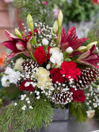 Christmas  Designer's Choice in Cross Plains, WI | The Cosmic Gardens