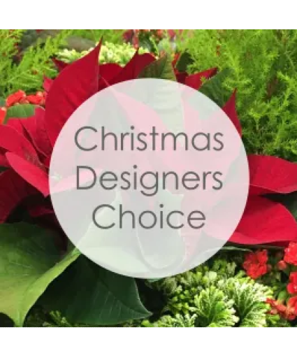 Christmas Designers Choice 