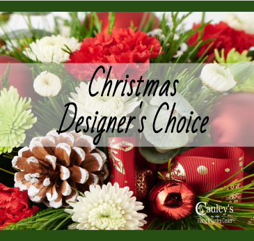 Christmas Designer's Choice  in Fitchburg, MA | CAULEY'S FLORIST & GARDEN CENTER