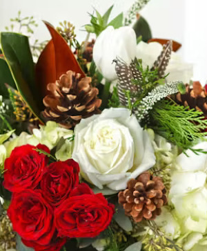 Christmas Designers Choice 