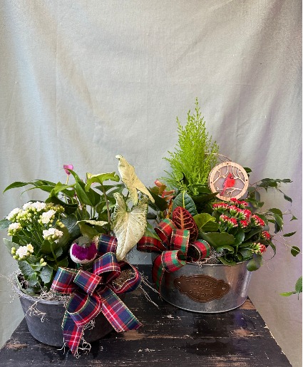 Holiday Dish Gardens 