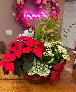 Christmas Dish Garden 