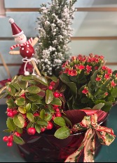 Christmas Dish-Garden 