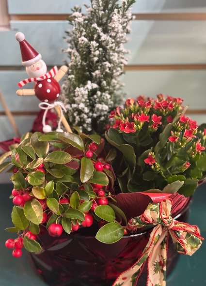 Christmas Dish-Garden 