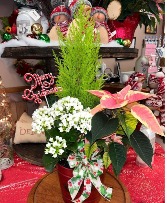 Christmas Dishgarden 