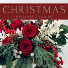 Christmas Florals Designer's Choice