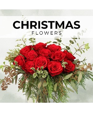 Christmas Florist’s Pick Designer's Choice