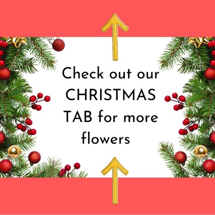 Christmas Flowers Christmas Flowers