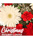 Christmas Flowers Designer's Choice