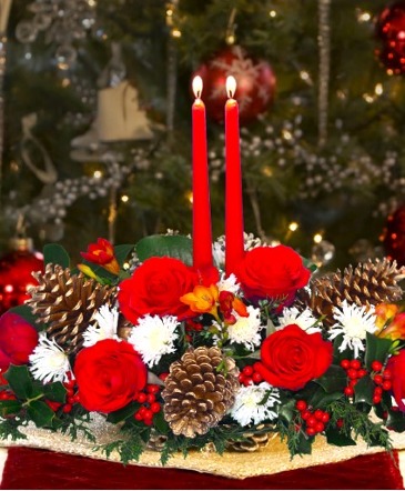 CHRISTMAS FLOWERS FOR THE HOME! AVAILABLE FROM DECEMBER 8th ! in Halifax, NS | Twisted Willow